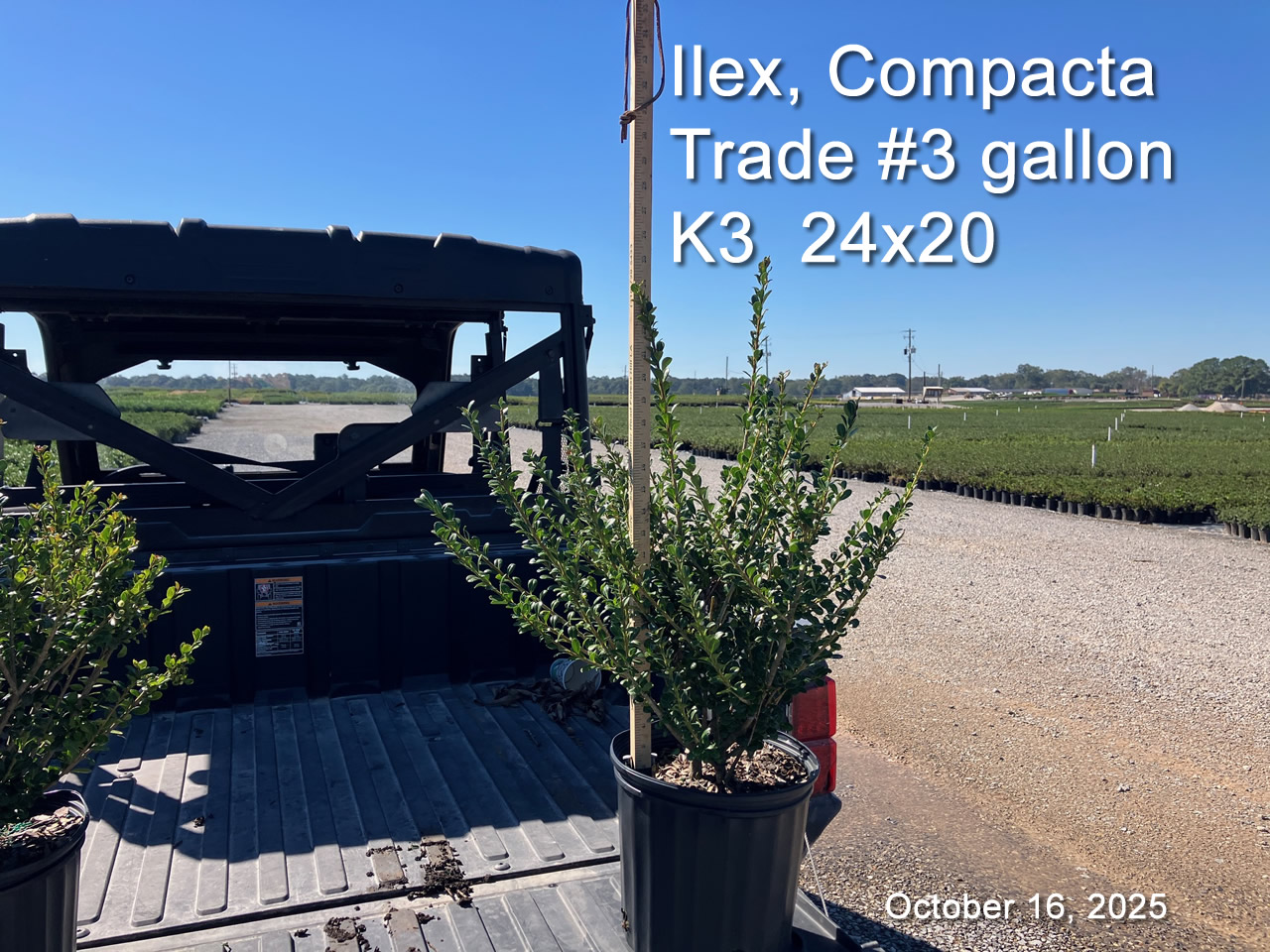 gallery/comp3t k3b oct16.jpg